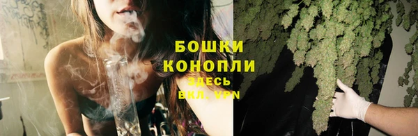 трава Богородицк