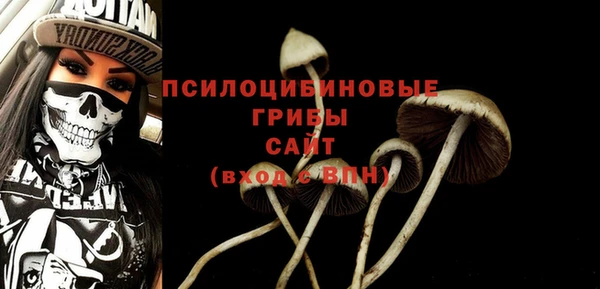 соль курить ск Бугульма