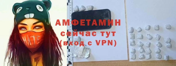 трава Богородицк
