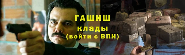 МДПВ Богородск
