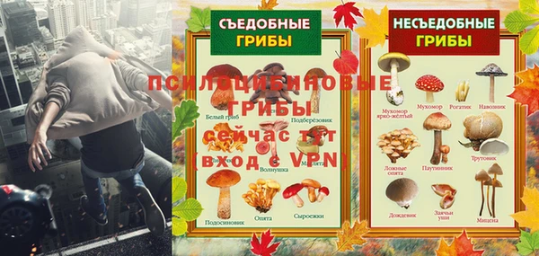 mdpv Богданович