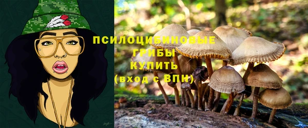 трава Богородицк