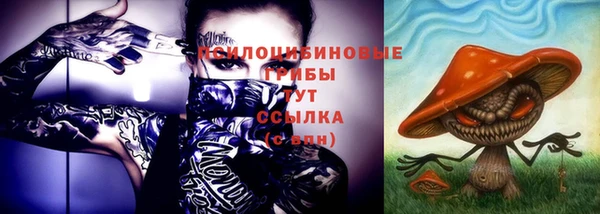 МДПВ Богородск